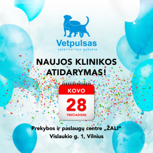 Vetpulso atidarymas