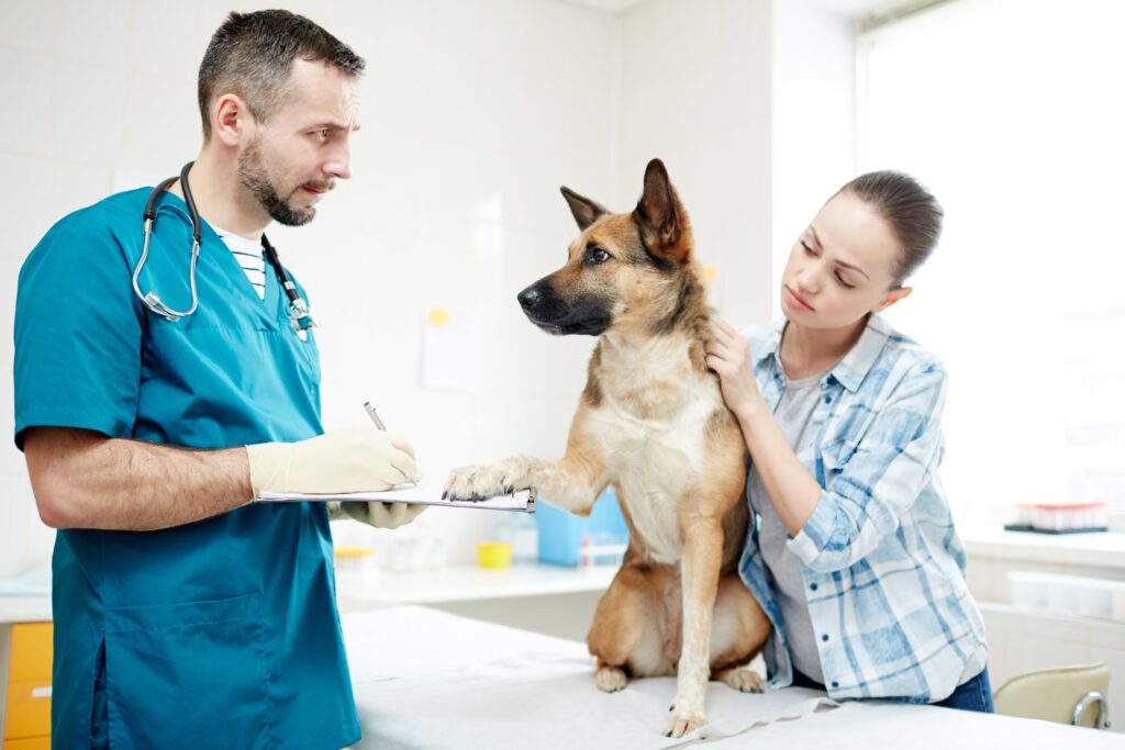 Gyvūno pasas veterinarijos klinikoje vetpulsas.lt